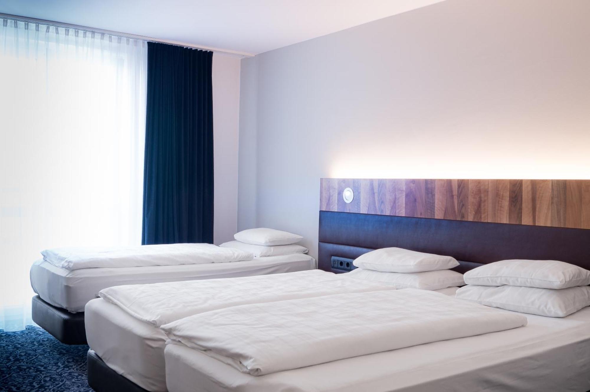 Grauer Baer 4*